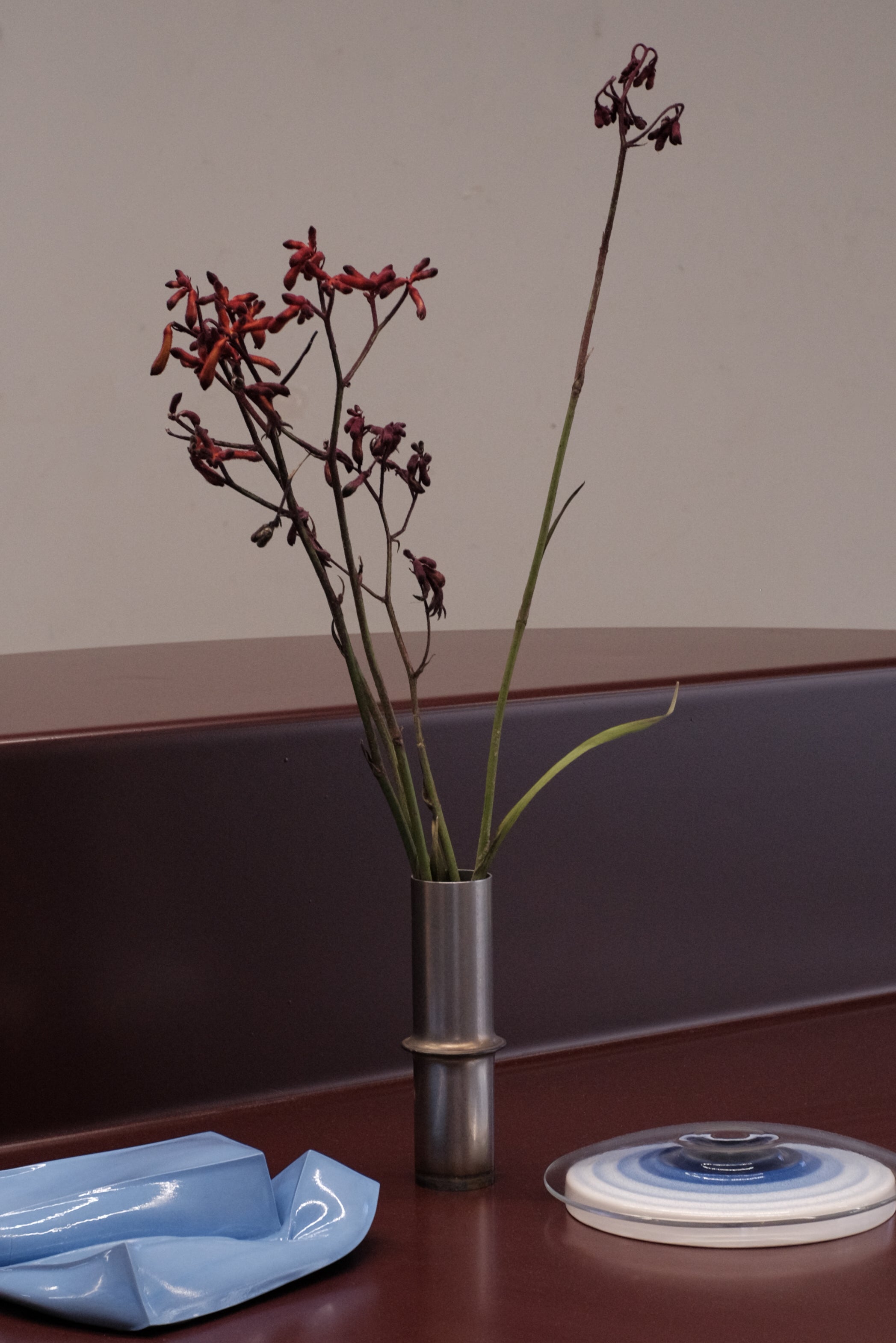 VASE__01 Raw